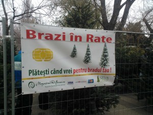 Brazi in rate