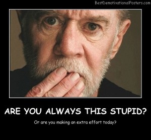 Are-You-Always-This-Stupid-Best-Demotivational-Posters